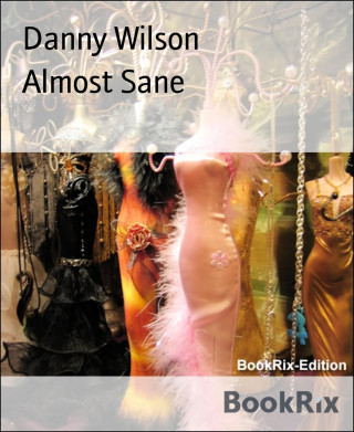 Danny Wilson: Almost Sane