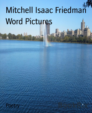 Mitchell Isaac Friedman: Word Pictures