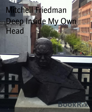 Mitchell Friedman: Deep Inside My Own Head