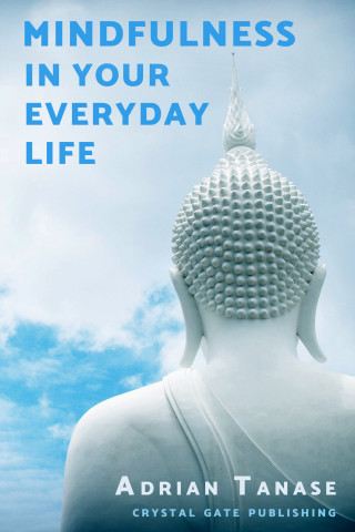 Adrian Tanase: Mindfulness in Your Everyday Life