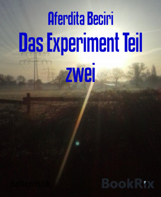 Aferdita Beciri: Das Experiment Teil zwei