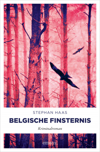 Stephan Haas: Belgische Finsternis