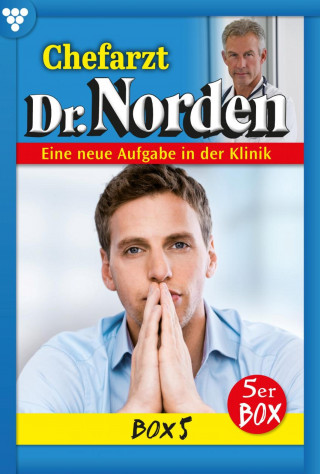 Patricia Vandenberg: E-Book 1131-1135