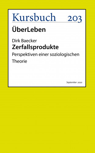 Dirk Baecker: Zerfallsprodukte