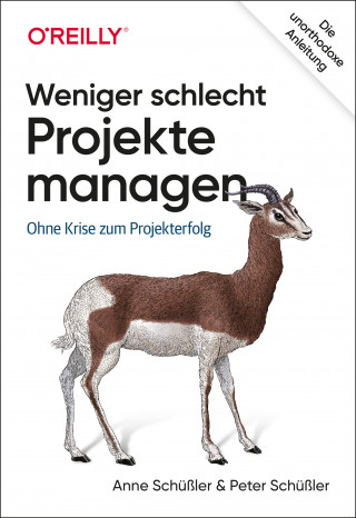 Anne Schüßler, Peter Schüßler: Weniger schlecht Projekte managen