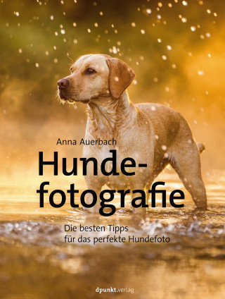 Anna Auerbach: Hundefotografie