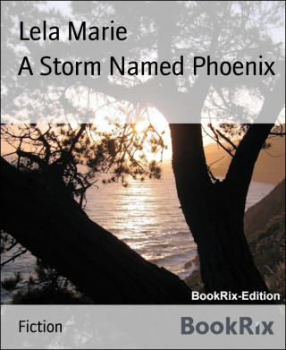 Lela Marie: A Storm Named Phoenix