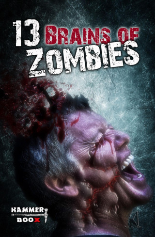 Markus Kastenholz, Erik R. Andara, M.H. Steinmetz, Torsten Scheib: 13 Brains of Zombies