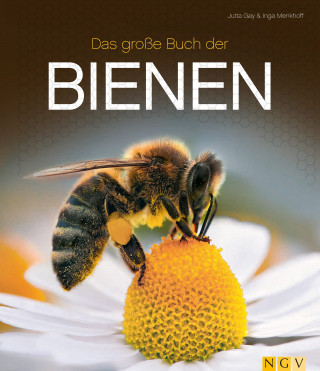 Jutta Gay, Inge Menkhoff: Das große Buch der Bienen