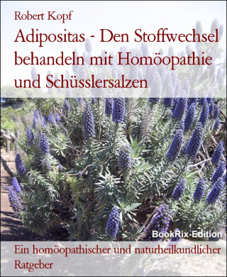 Robert Kopf: Adipositas - Den Stoffwechsel behandeln mit Homöopathie und Schüsslersalzen