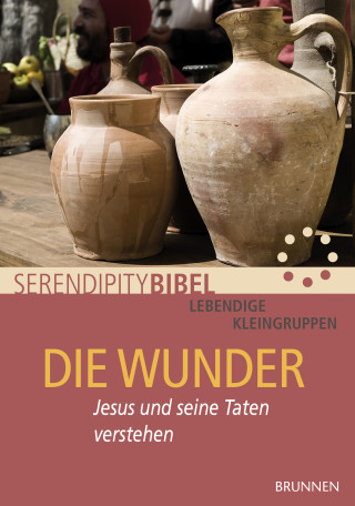 Serendipity bibel: Die Wunder