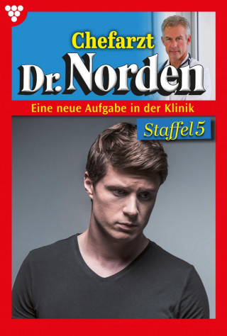 Patricia Vandenberg: E-Book 1151-1160