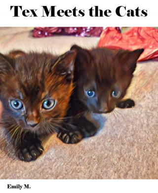 Emily M.: Big Tex & Friends: Tex Meets the Cats