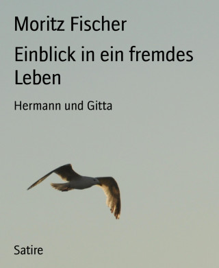 Moritz Fischer: Einblick in ein fremdes Leben