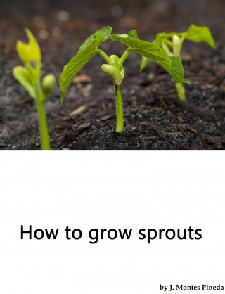 J. Montes Pineda: How to grow sprouts