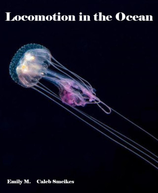 Emily M., Caleb Smeikes: Locomotion in the Ocean
