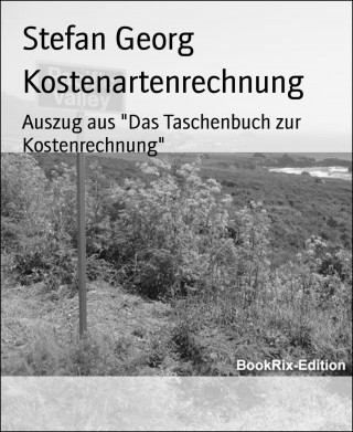 Stefan Georg: Kostenartenrechnung