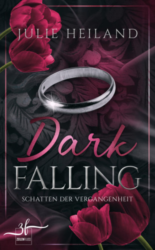 Julie Heiland: Dark Falling - Schatten der Vergangenheit