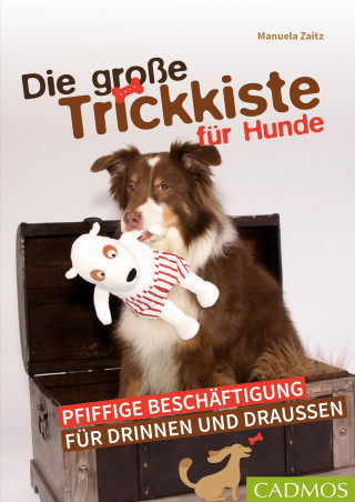 Manuela Zaitz: Die große Trickkiste für Hunde