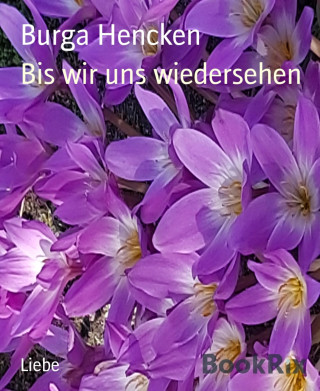 Burga Hencken: Bis wir uns wiedersehen