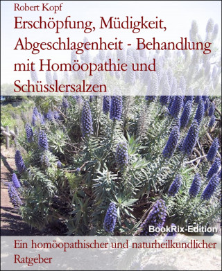 Robert Kopf: Erschöpfung, Müdigkeit, Abgeschlagenheit - Behandlung mit Homöopathie und Schüsslersalzen