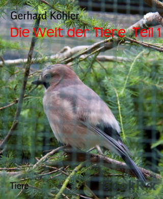 Gerhard Köhler: Die Welt der Tiere Teil 1