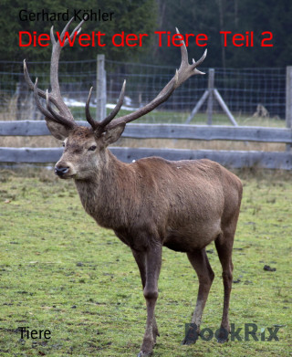 Gerhard Köhler: Die Welt der Tiere Teil 2