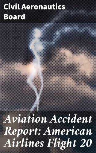 Civil Aeronautics Board: Aviation Accident Report: American Airlines Flight 20