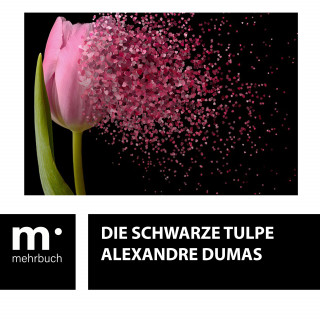 Alexandre Dumas: Die schwarze Tulpe