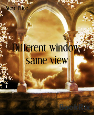 Steve Price: Different window, same view
