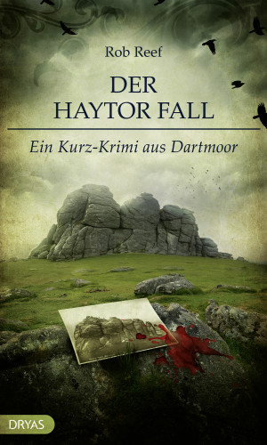 Rob Reef: Der Haytor Fall