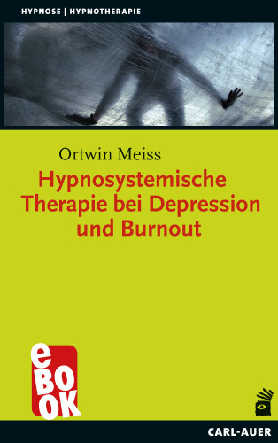Ortwin Meiss: Hypnosystemische Therapie bei Depression und Burnout
