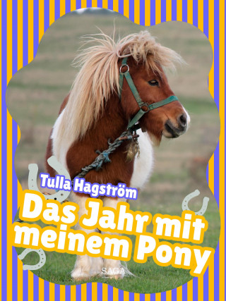 Torbjörg Hagström: Das Jahr mit meinem Pony