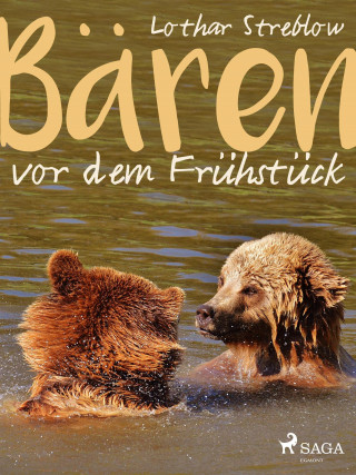 Lothar Streblow: Bären vor dem Frühstück - Erzählungen
