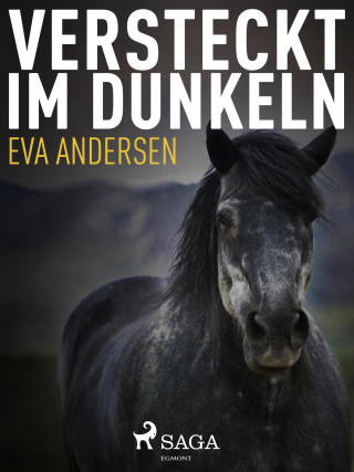 Eva Andersen: Versteckt im Dunkeln