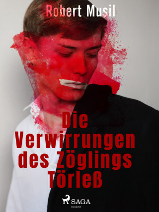 Robert Musil: Die Verwirrungen des Zöglings Törleß