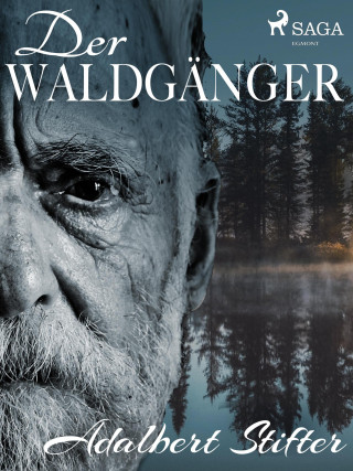 Adalbert Stifter: Der Waldgänger