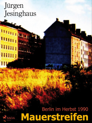 Jürgen Jesinghaus: Mauerstreifen