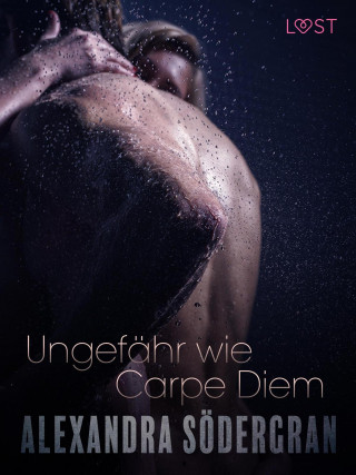 Alexandra Södergran: Ungefähr wie Carpe Diem: Erotische Novelle