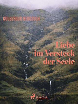 Gudbergur Bergsson: Liebe im Versteck der Seele
