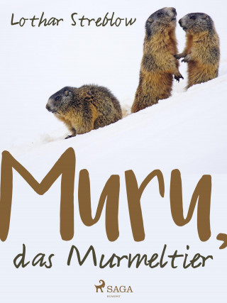 Lothar Streblow: Murru, das Murmeltier