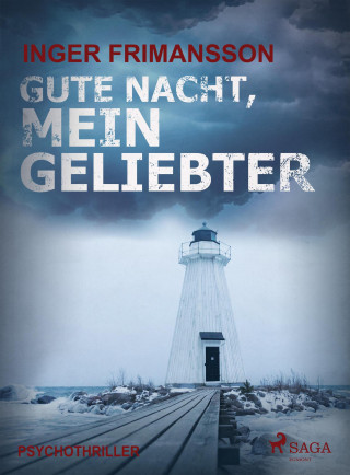 Inger Frimansson: Gute Nacht, mein Geliebter - Psychothriller