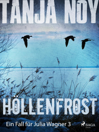 Tanja Noy: Höllenfrost - Ein Fall für Julia Wagner: Band 3