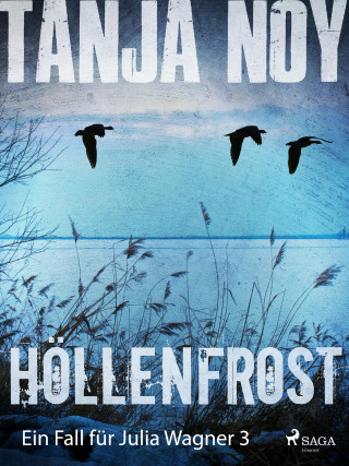 Tanja Noy: Höllenfrost - Ein Fall für Julia Wagner: Band 3