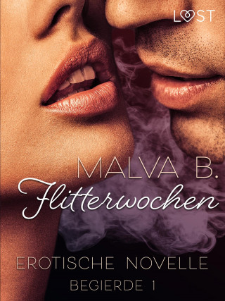 Malva B: Begierde 1 - Flitterwochen: Erotische Novelle