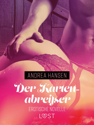 Andrea Hansen: Der Kartenabreißer - Erotische Novelle
