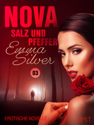 Emma Silver: Nova 3 - Salz und Pfeffer: Erotische Novelle