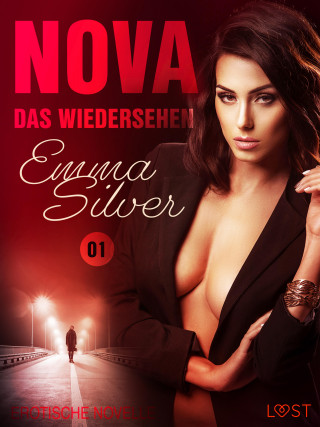 Emma Silver: Nova 1 - Das Wiedersehen: Erotische Novelle