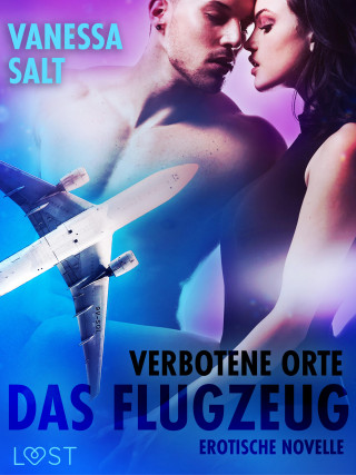 Vanessa Salt: Verbotene Orte: Das Flugzeug - Erotische Novelle