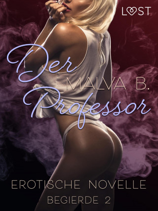 Malva B: Begierde 2 - Der Professor: Erotische Novelle